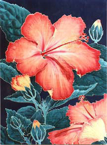 Hibiscus II