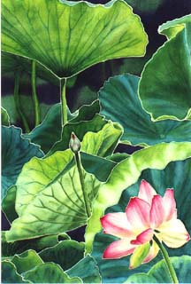 Lotus I