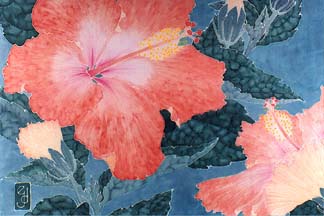 Molly's Hibiscus