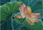 Lotus IV detail