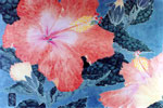 Molly's Hibiscus
