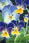 Pansies