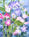 Silk Sweet Pea