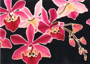 Asahi Orchids - Detail