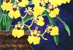 Basket of Sunshine