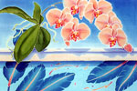 Orchids on the Ledge