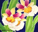 Woody's Orchid