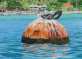 Bequia Bouy and Birds