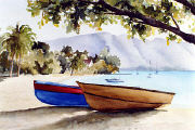 Bequia Boats