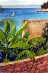 Sailor in Paradise (v)